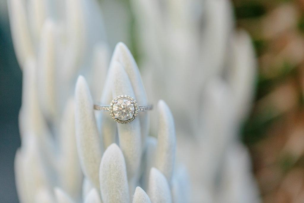 Longwood Gardens Engagement Session by Paige Victoria Photography Philly In Love Philadelphia Weddings