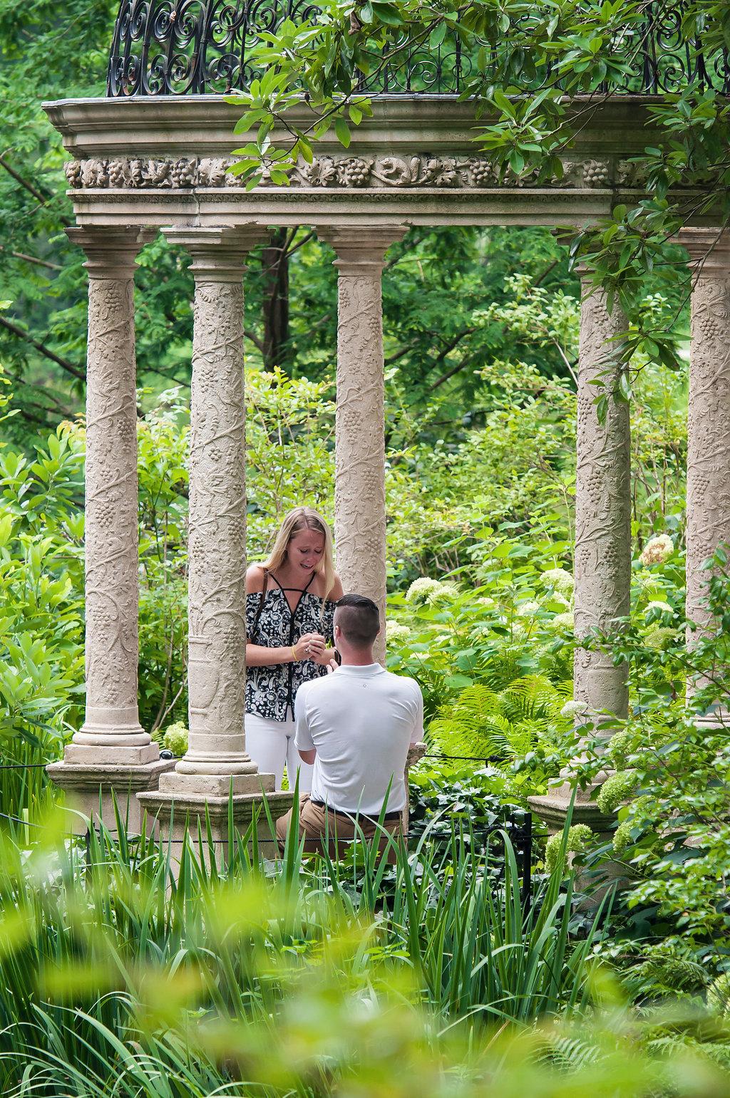 Proposal at Longwood Gardens by Benjamin Deibert Photography Philadelphia Photographer Philly In Love Philadelphia Weddings
