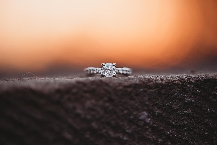 Romantic Engagement Session at Tyler Gardens Rachel Betson Photography Philly In Love Philadelphia Weddings Philadelphia Wedding Venues Philadelphia Wedding Vendors 